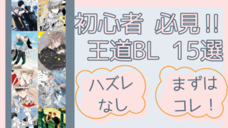 【腐女子おすすめ】初心者必見！王道の人気BLを15作品厳選！ 