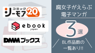 【オススメ3選】BLが読める人気の電子マンガサービス!!15社を徹底比較！ 
